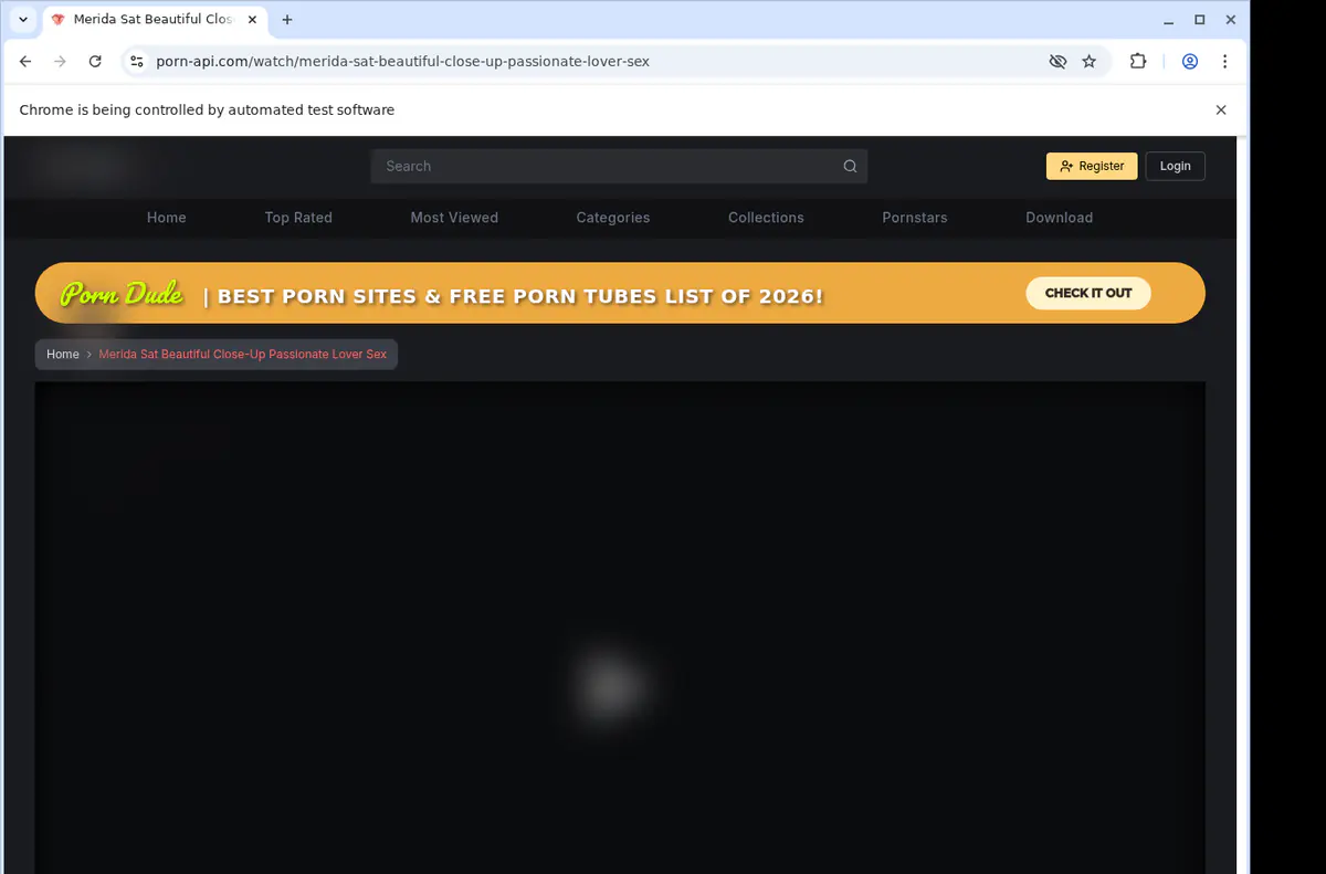 Pornapi Video Downloader screenshot 2