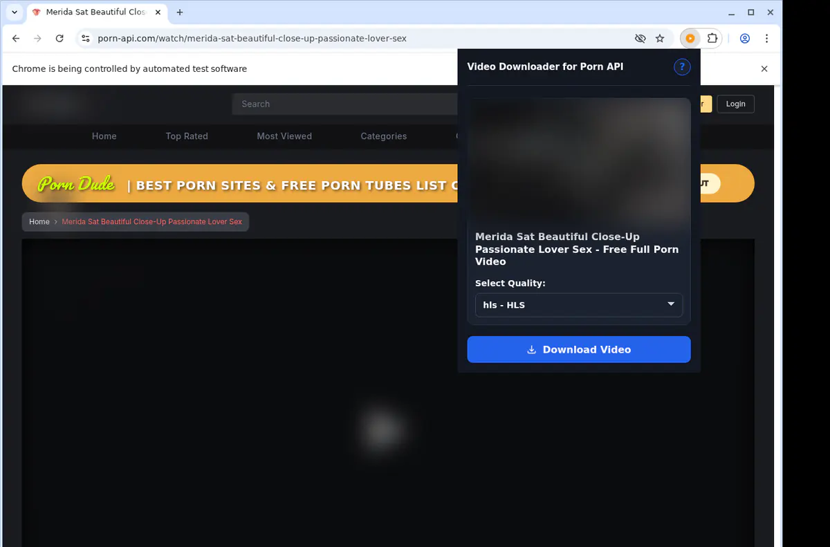Pornapi Video Downloader screenshot 3