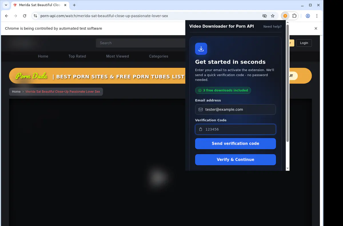Pornapi Video Downloader screenshot 4