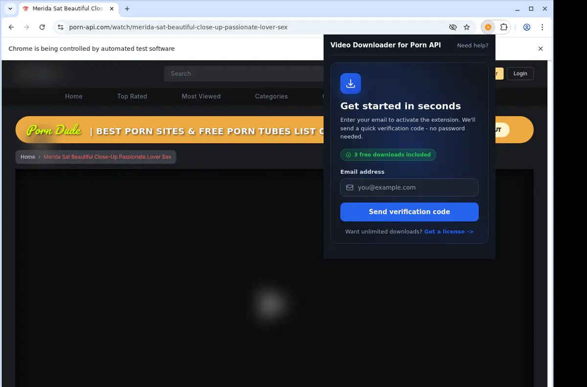 Pornapi Video Downloader screenshot 5